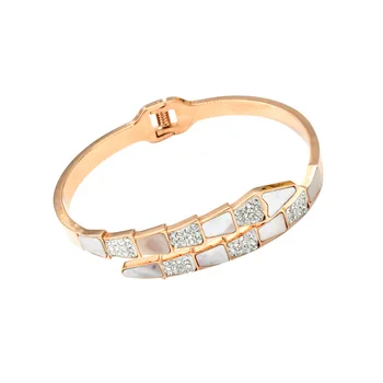 ARADOO Lumină de Lux, Șampanie Aur Shell Șarpe Os Diamant Moda Oțel Titan Brățară