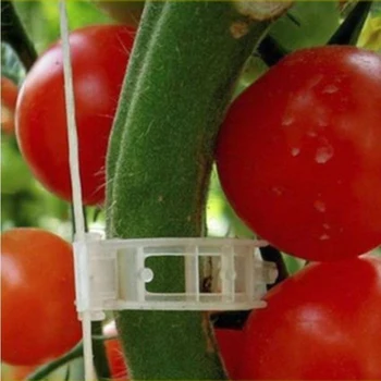 50/100buc Plastic Planta Clipuri Sprijină Conectează Reutilizabile Protecție Altoire cu Instrumentul de Reparare echipamente de Grădinărit de Legume Tomate